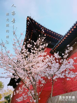 春已至，愿山河无恙