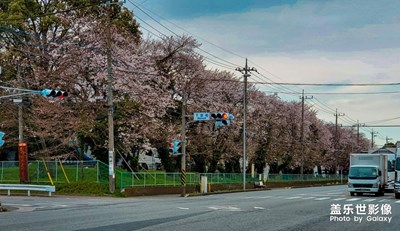 【日本生活】最近生活