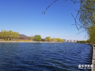 共享春天的美色