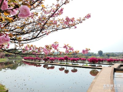 春暖花开