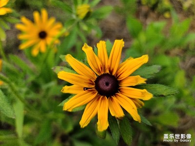 【春花烂漫】+骑行之赏花