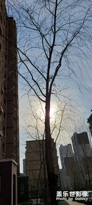 随手拍2