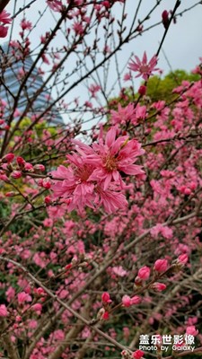 spring~