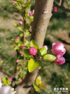 春暖花开