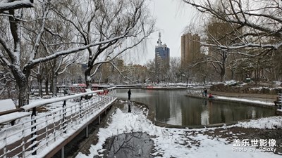 雪景