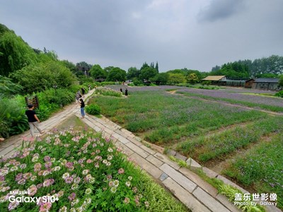 S10+镜头下的乌镇西栅美景