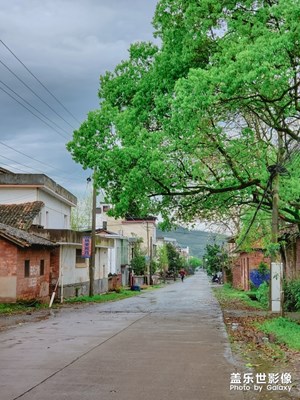 【最美瞬间】细雨蒙蒙中的赣西乡村