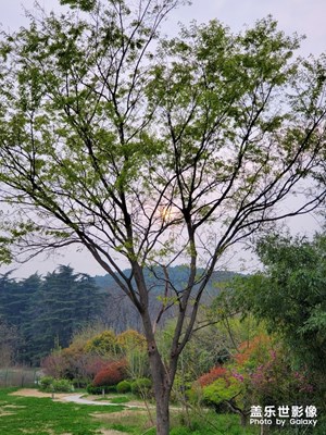 春暖花开