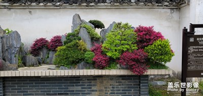 黄山鲍家花园