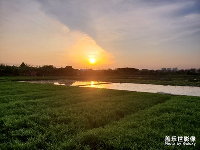 阳光正好，