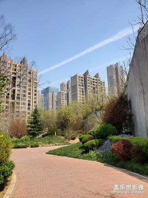 阳光明媚的一天