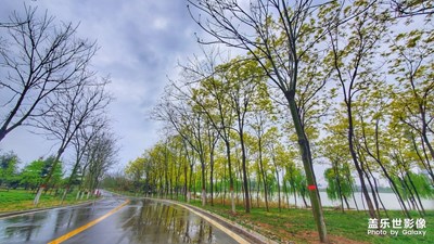大美焦作，雨中龙源湖。