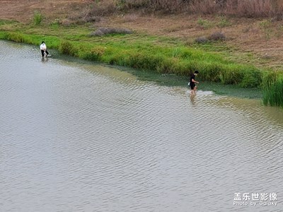 抓鱼的人