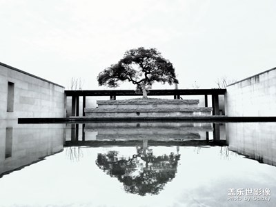 一花一世界，一树一菩提。