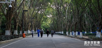 东莞旗峰山健走