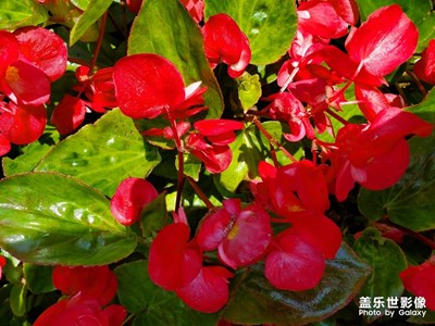 周末，南沙走走