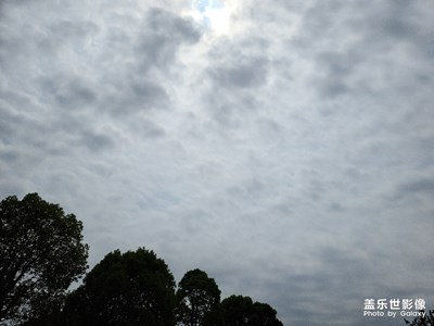 随拍