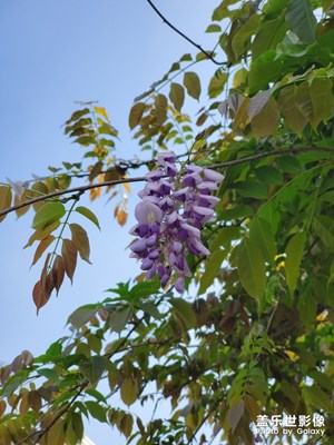 雨送黄昏花易落