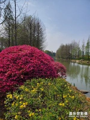 【春日丽影】+江畔春意浓
