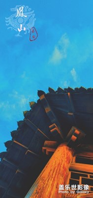我家后山！