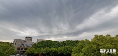 山雨欲来风满楼