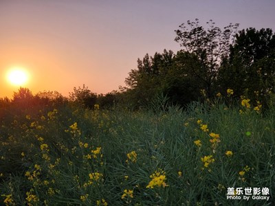 饭后散步随拍