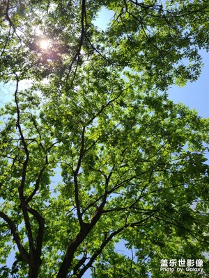 夏天来了
