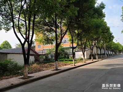 美好的一天