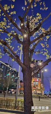 夜景-平凡的生活，也充满色彩