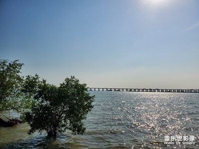 【享受生活】+ 西湾红树林