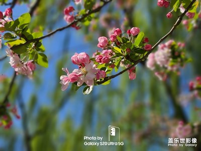 【精彩翻倍】+与情重，比酒浓