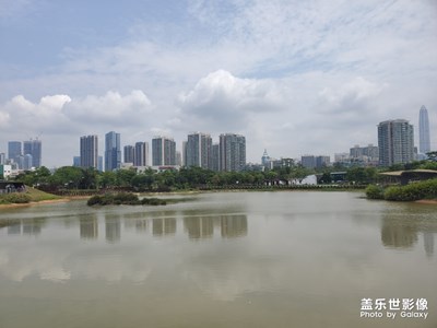 深圳福田红树林公园