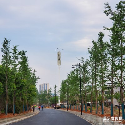 时间停止