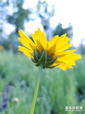 【精彩翻倍】CBD公园随拍