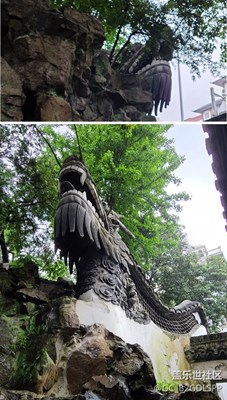 2020立夏 雨中的雕龙&锦鲤