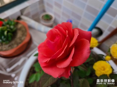 20s拍照果然不一样