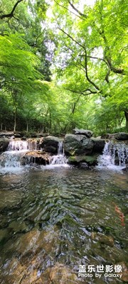 杭州小逛两日