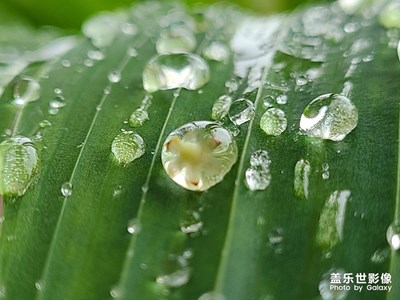 雨后才是拍照的好时光！