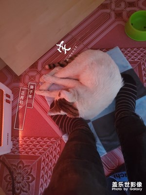三星记录下的生活