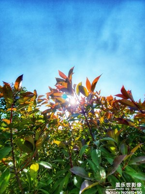 【精彩翻倍】随手拍