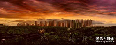 【印象五月】这个五月，夏天来得特别早