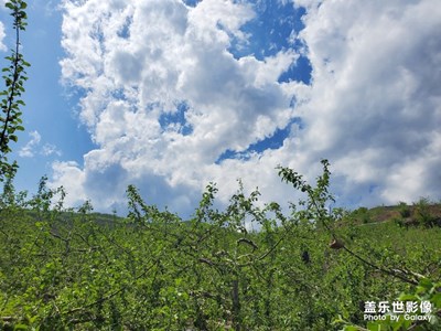 西北黄土高坡风光