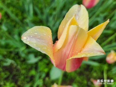 雨后的颜色