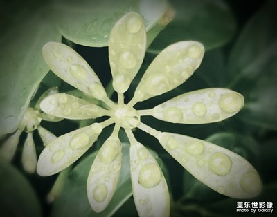 一间