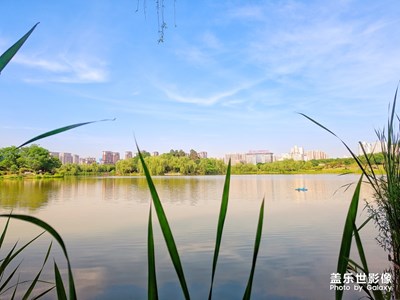 大明湖畔的夏日