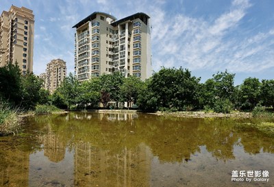 青岛小区里面的蓝色天空