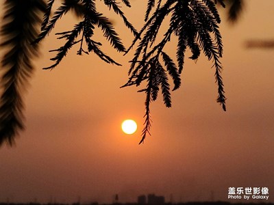 随手拍