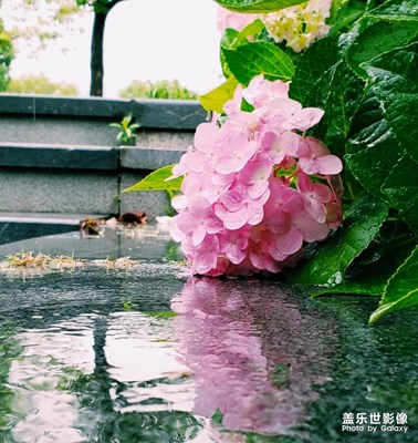 在五月的尾巴上躲雨