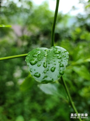 空气真好