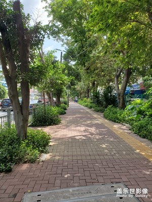 【我美丽城】+ 花园城市